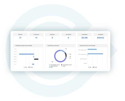 Salary Remuneration Main Screen